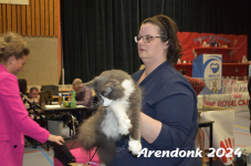 Arendonk 2024 217