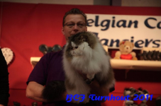 bcf antw 2010 167