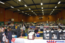Katttenshow Arendonk 2020 DSC 0146