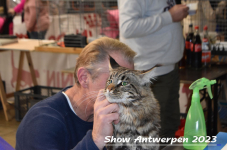 Schow Antwerpen 2023 210