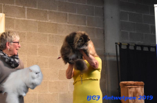 Antwerpen 2019DSC 0295