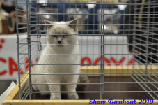 turnhout 2019-0363