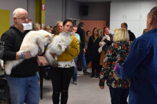 Katttenshow Arendonk 2020 DSC 0505