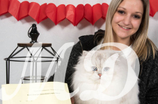 Katttenshow Arendonk 2020 1029