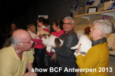 showantwerpen 1110