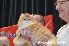 Arendonk 2024 551