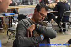 Antwerpen 2019DSC 0290