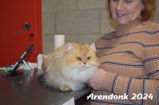 Arendonk 2024 323