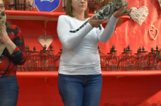 Katttenshow Arendonk 2020 DSC 0494