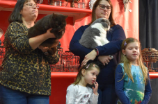 Katttenshow Arendonk 2020 DSC 0540