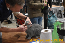 Antwerpen 041