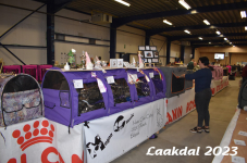 Laakdal 2023 113