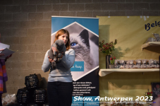 Schow Antwerpen 2023 341