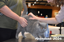Arendonk 2024 034
