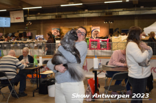 Schow Antwerpen 2023 183