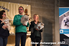 Antwerp 2022290