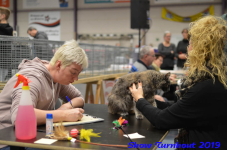 turnhout 2019-0344