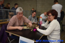 Antwerpen 2019DSC 0280