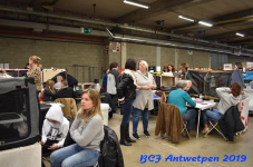 Antwerpen 2019DSC 0171