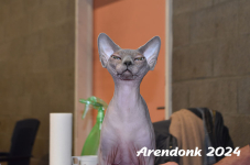 Arendonk 2024 424