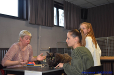 Katttenshow Arendonk 2020 DSC 0208
