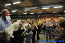 antwerp 2018 0297