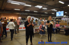 Antwerpen 2019DSC 0410