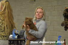 Antwerp 2022313