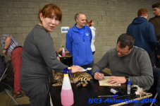 Antwerpen 2019DSC 0284