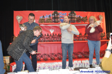 Katttenshow Arendonk 2020 DSC 0246