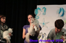 arendonk 2012 297