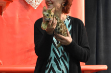 Katttenshow Arendonk 2020 DSC 0754