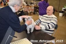 Schow Antwerpen 2023 174
