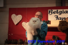 bcf antw 2010 162