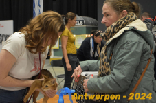 Antwerpen 033