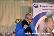 Schow Antwerpen 2023 363
