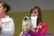 arendonk 2012 275