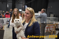 Antwerpen 214