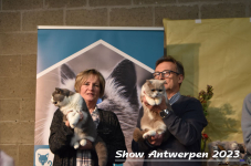 Schow Antwerpen 2023 287
