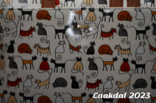Laakdal 2023 209
