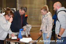 Schow Antwerpen 2023 044