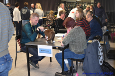 Katttenshow Arendonk 2020 DSC 0164