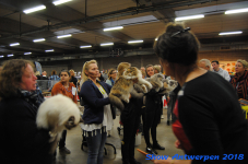 antwerp 2018 0296