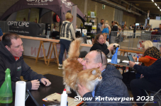 Schow Antwerpen 2023 178