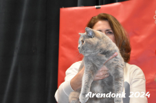 Arendonk 2024 438