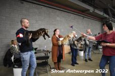 Antwerp 2022154