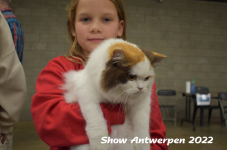 Antwerp 2022205