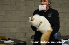 Antwerp 2022231