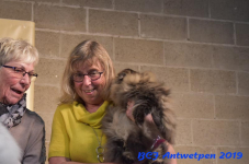 Antwerpen 2019DSC 0302