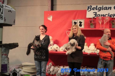 turnhout 2013 img 9962